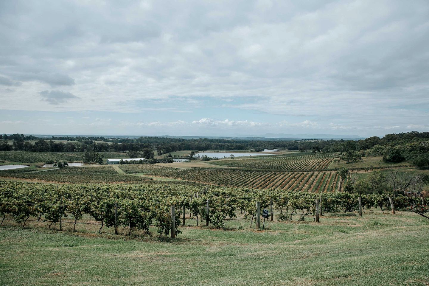 Chic and Tiny Pokolbin Accommodation for Glamping NSW