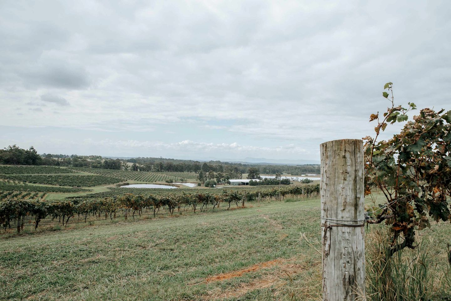 Chic and Tiny Pokolbin Accommodation for Glamping NSW
