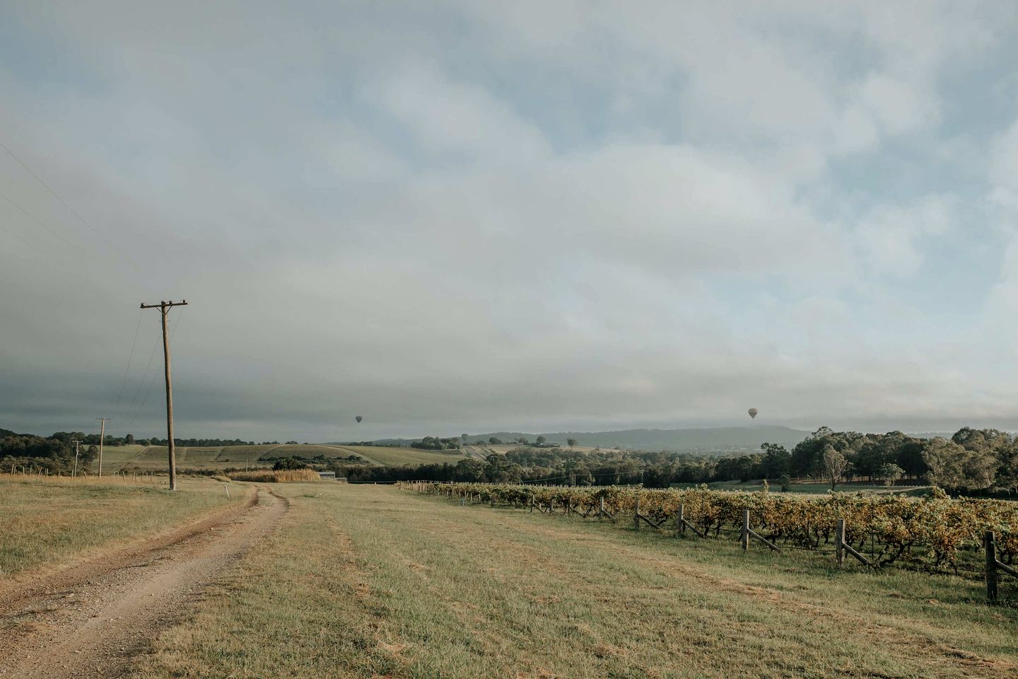 Chic and Tiny Pokolbin Accommodation for Glamping NSW