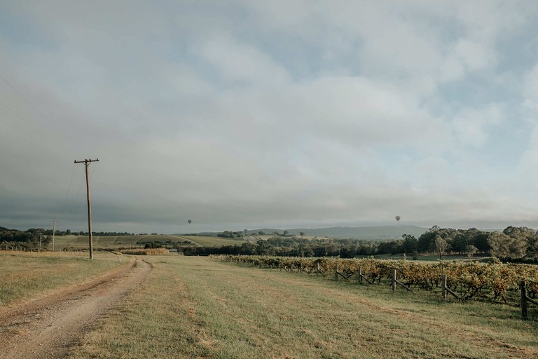 Vacation Rentals (Australia, Pokolbin, New South Wales)