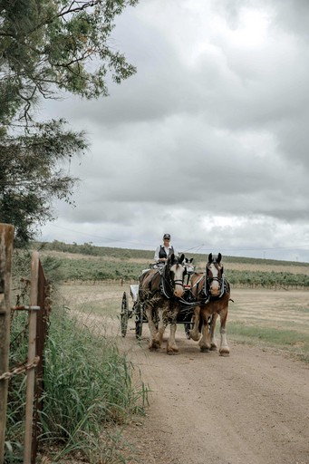 Vacation Rentals (Australia, Pokolbin, New South Wales)