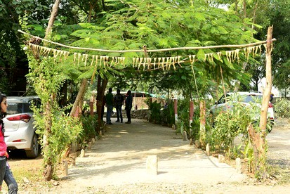 undefined photo 4
