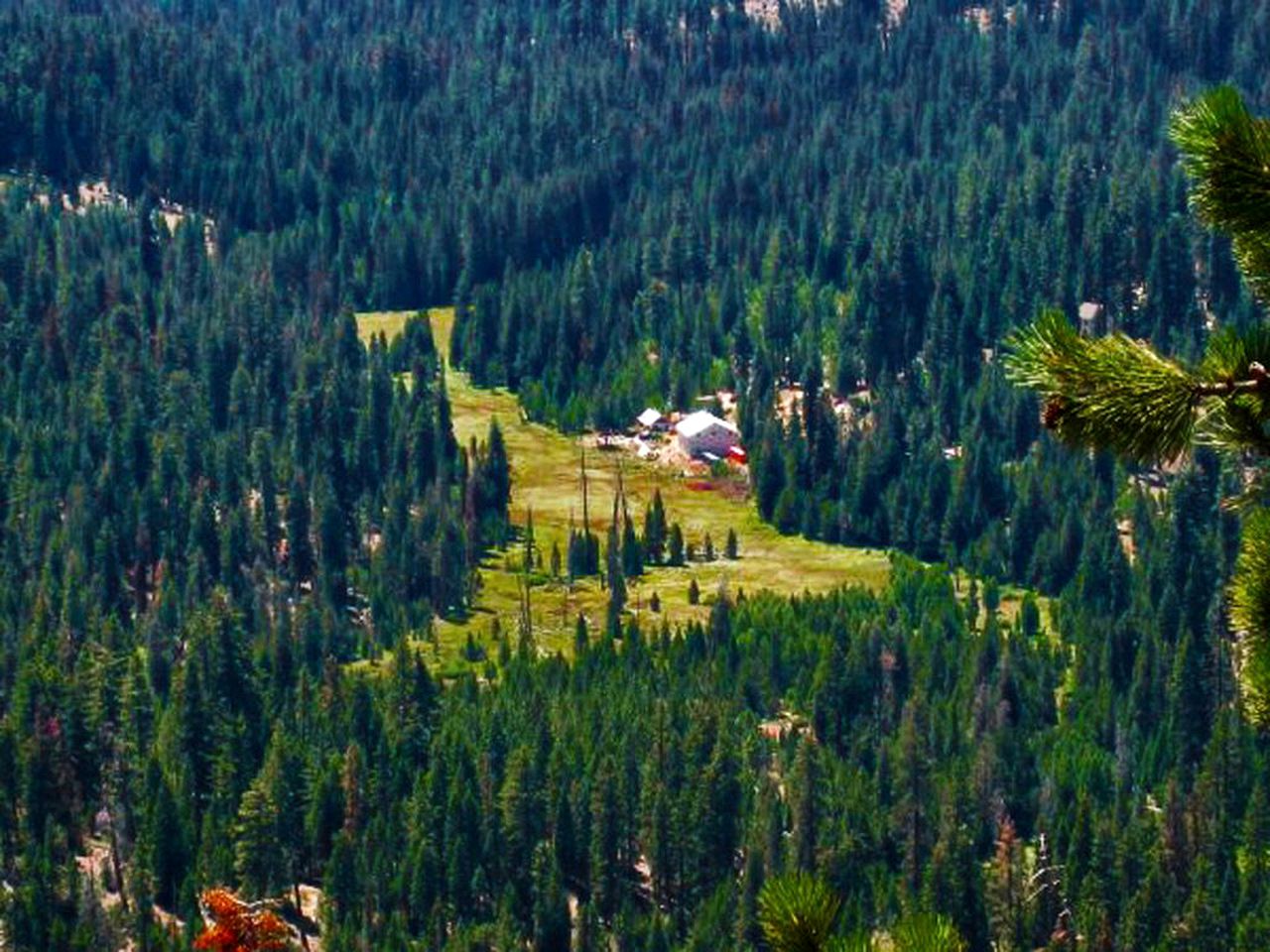 Secluded Cabin in Ponderosa, California