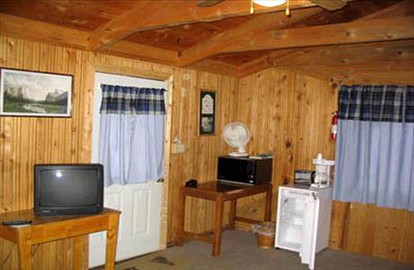 undefined photo 5