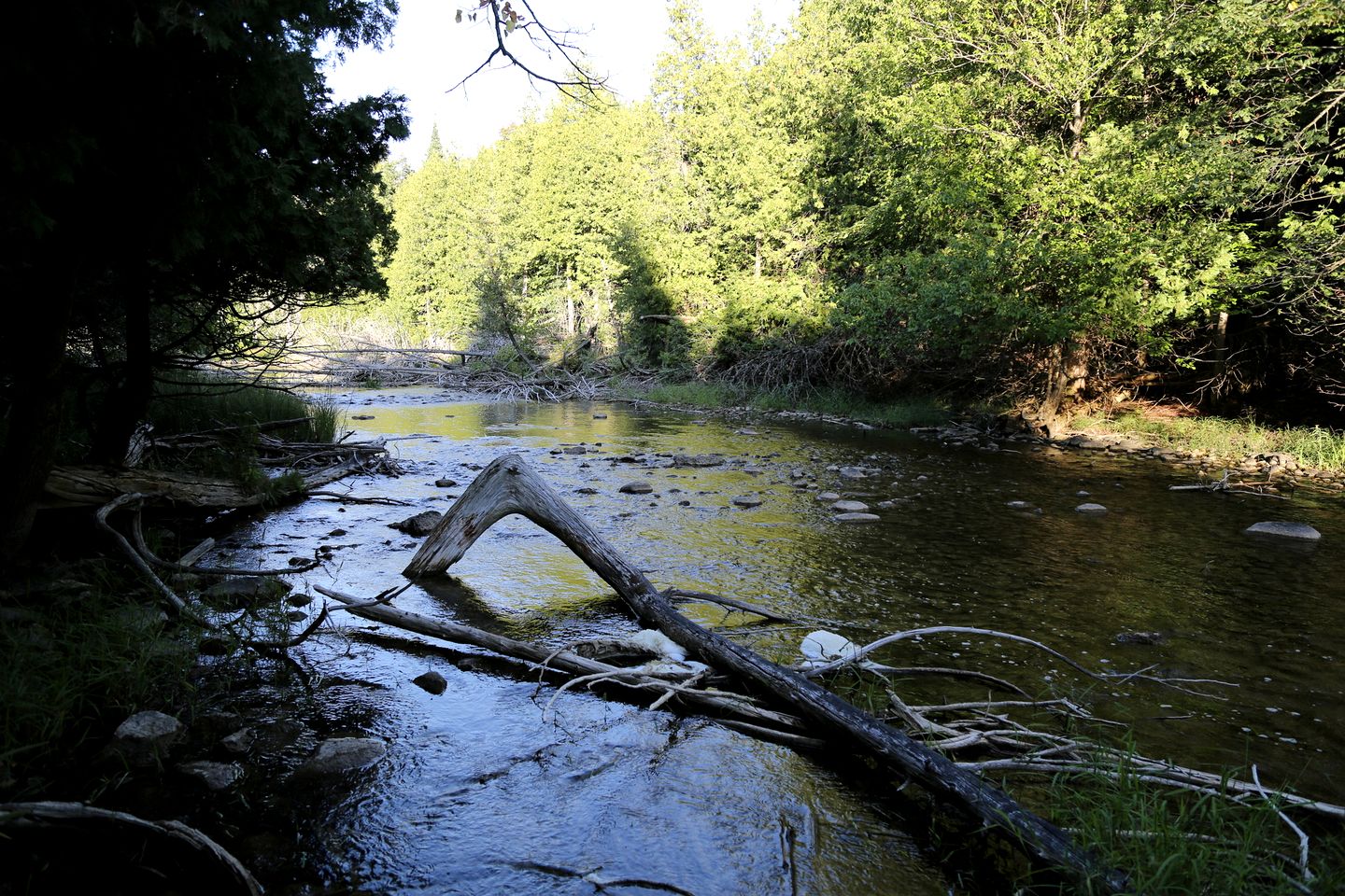 Secluded Tipi Close to Fantastis Hiking Trails in Toronto, Ontario
