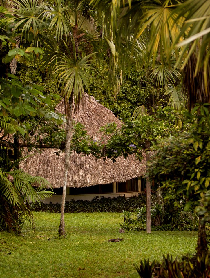 Rural Yet Luxurious Cabana Accommodation in Rainforest near Belize City