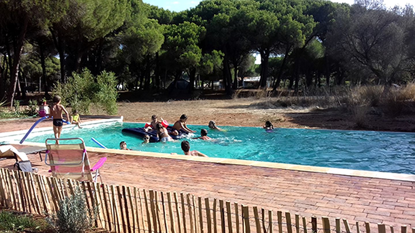 Eco-Friendly Treehouse Getaway with a Pool in Vejer de la Frontera, Spain