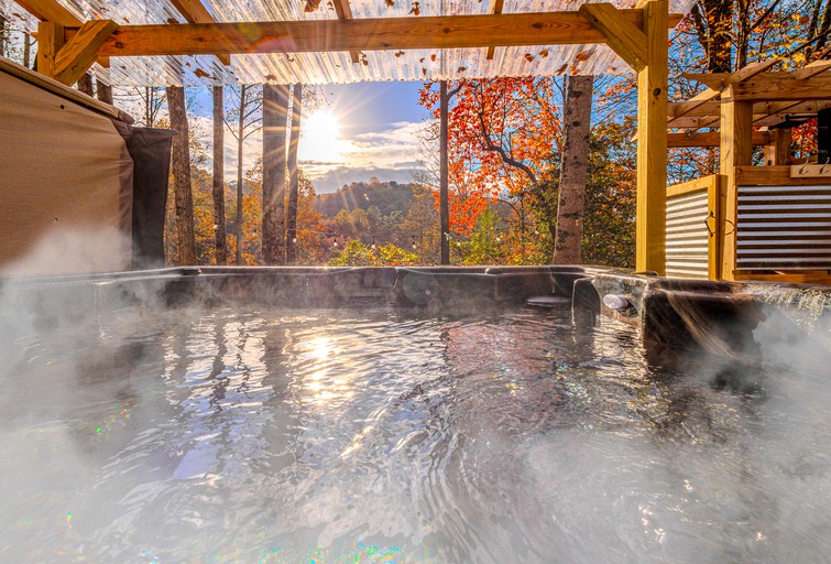 Vacation Rentals (United States of America, Byson City, North Carolina)