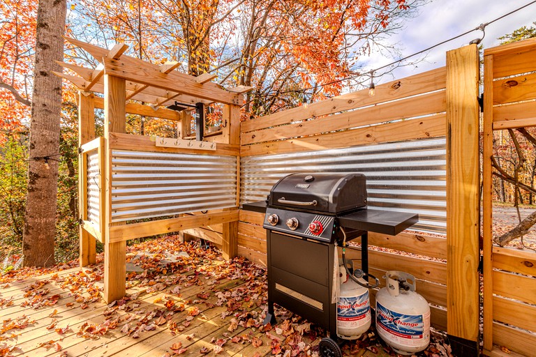 Vacation Rentals (United States of America, Byson City, North Carolina)