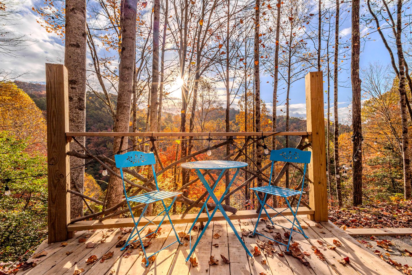 Secluded Mountain Hideaway: Cabin Experience in North Carolina