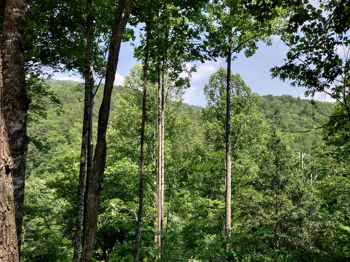 Vacation Rentals (United States of America, Byson City, North Carolina)