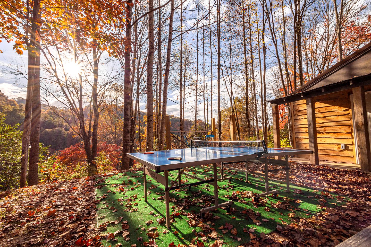 Secluded Mountain Hideaway: Cabin Experience in North Carolina