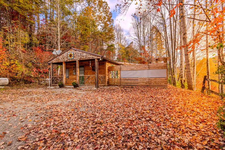 Vacation Rentals (United States of America, Byson City, North Carolina)