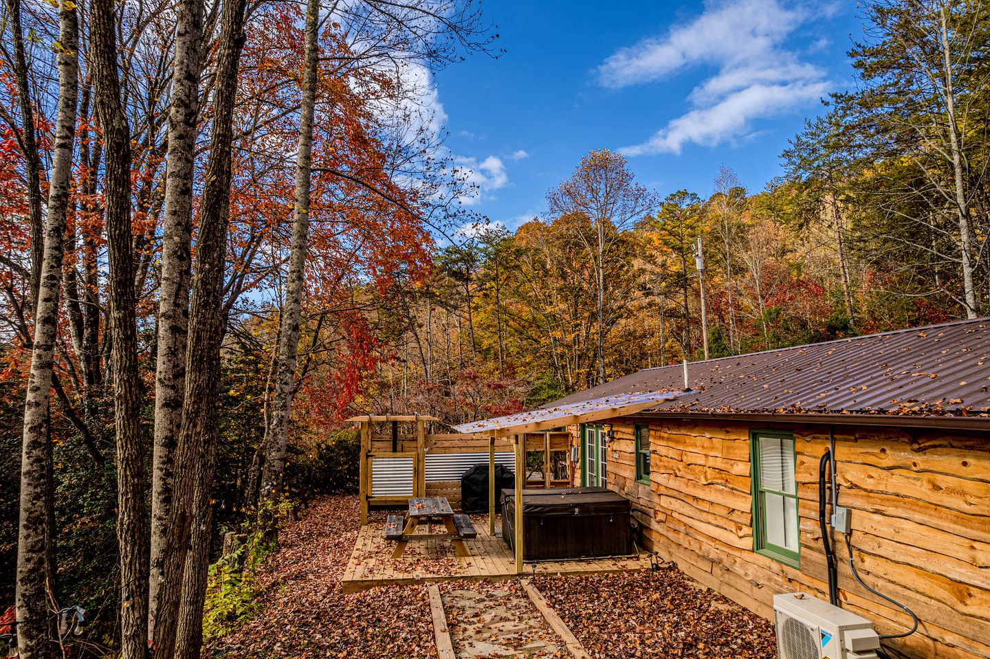 Secluded Mountain Hideaway: Cabin Experience in North Carolina