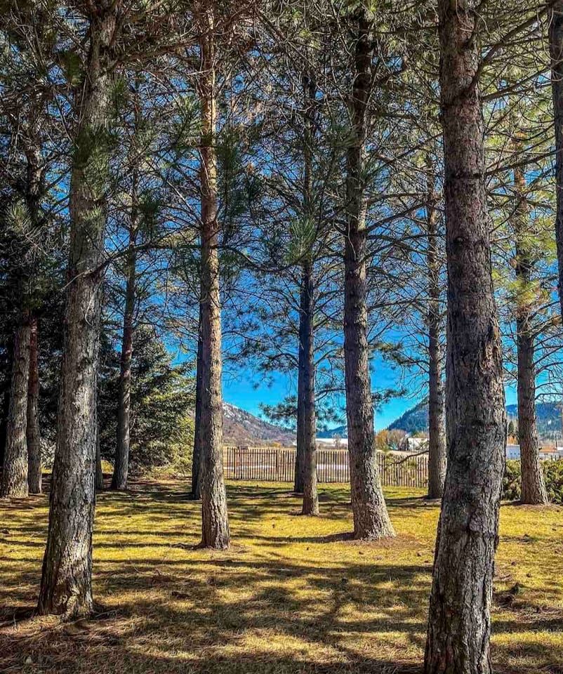 Cozy Bell Tent Glamping in Swan Valley, Idaho near Jackson Hole