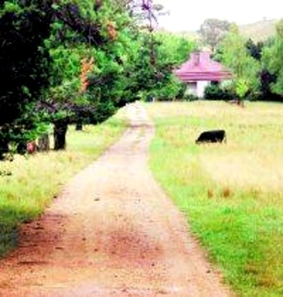 Fairytale Cottage Rental near Oxley Wild Rivers National Park in Armidale, New South Wales