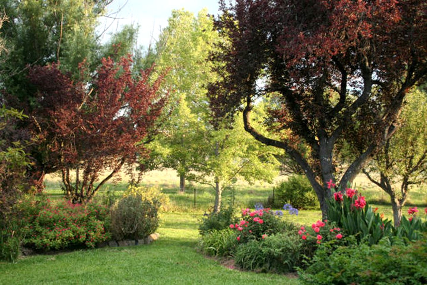 Fairytale Cottage Rental near Oxley Wild Rivers National Park in Armidale, New South Wales