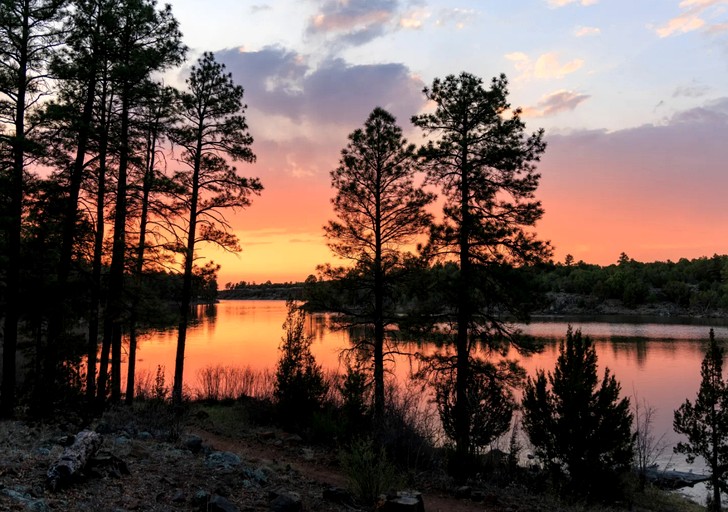 Cabins (United States of America, Show Low, Arizona)