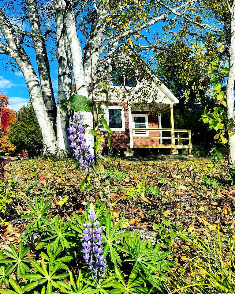 Magnificent Cabin Nestled Amidst Trees in Portage Lake, Maine