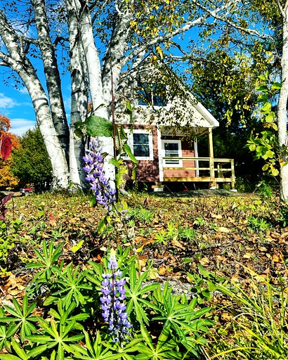 Magnificent Cabin Nestled Amidst Trees in Portage Lake, Maine