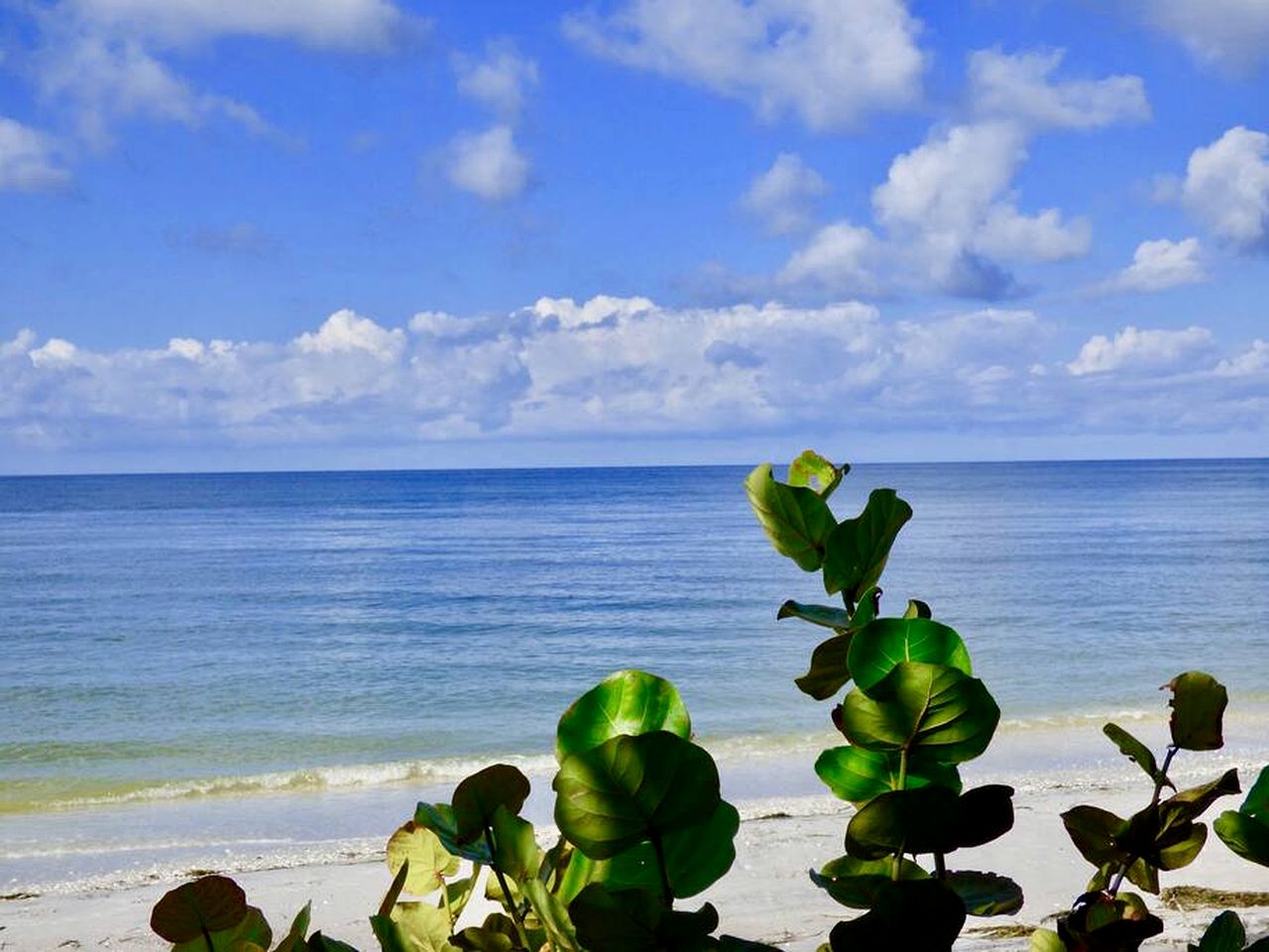 Charming Waterfront Cottage with Private Dock near Little Gasparilla Island, Florida