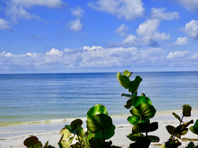 Cottages (United States of America, Placida, Florida)