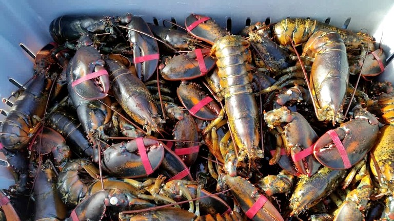 Cottages (United States of America, Sorrento, Maine)