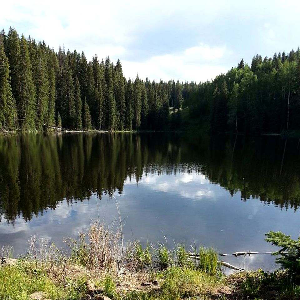 Spacious Mountain Ski Cabin situated on the Grand Mesa, Colorado