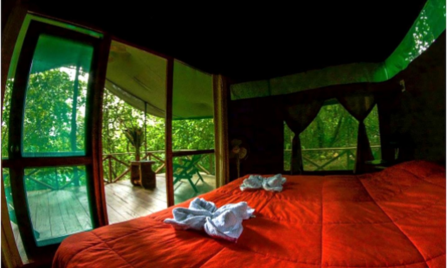 Luxury Rainforest Tent by the Sarapiqui River in Costa Rica