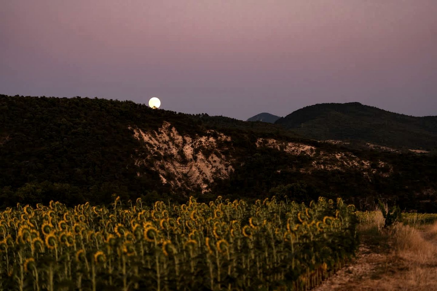 Panoramic Eco Home with Mountain Views near Saoû, Drôme