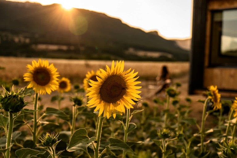 Vacation Rentals (France, --, Auvergne-Rhône-Alpes)