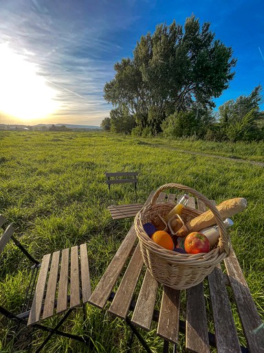 Vacation Rentals (France, Châteauneuf-du-Rhône, Auvergne-Rhône-Alpes)