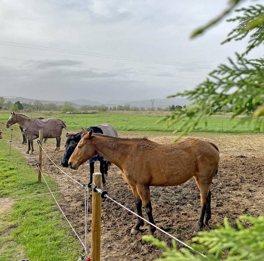 Vacation Rentals (France, Châteauneuf-du-Rhône, Auvergne-Rhône-Alpes)