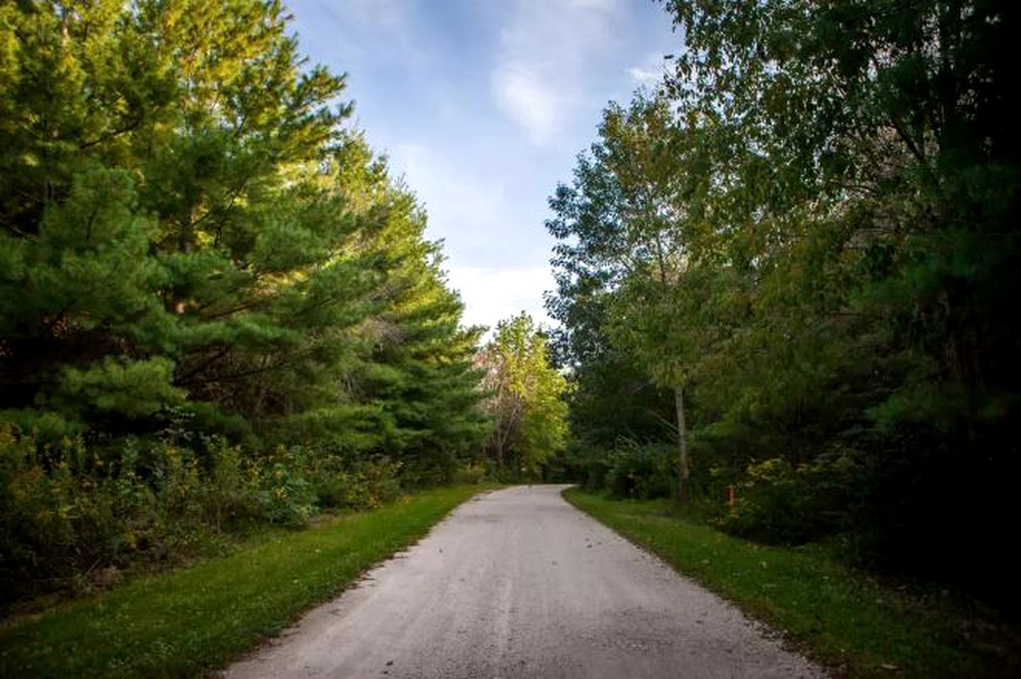 Fabulous Retreat with an Indoor Pool and Sauna for a Luxury Getaway in Champaign, Illinois