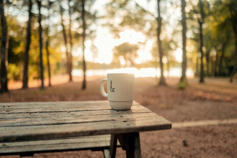 Vacation Rentals (United States of America, --, --)