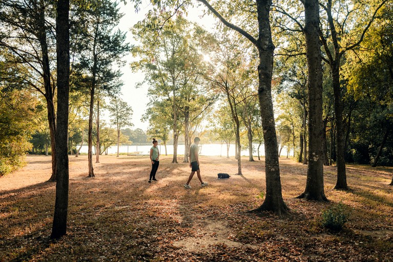 Vacation Rentals (United States of America, --, --)