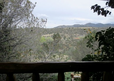 undefined photo 5