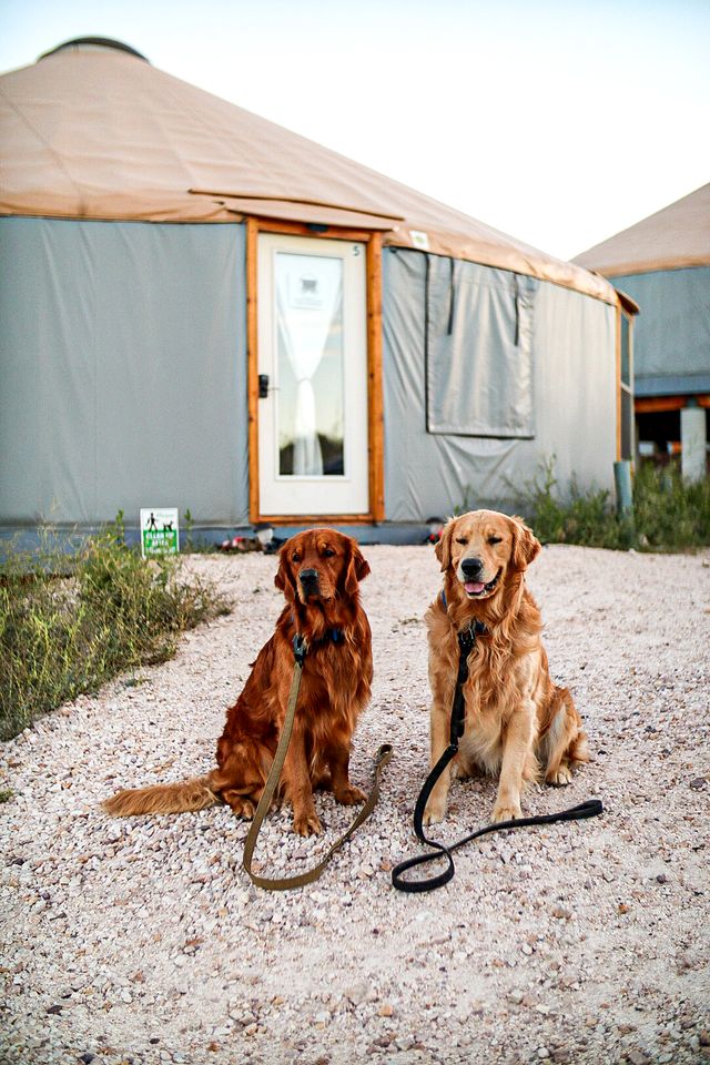 Pretty Yurts by Bear Lake in Garden City, Utah - Perfect Glamping Site for a Group Retreat Suitable for 60 People