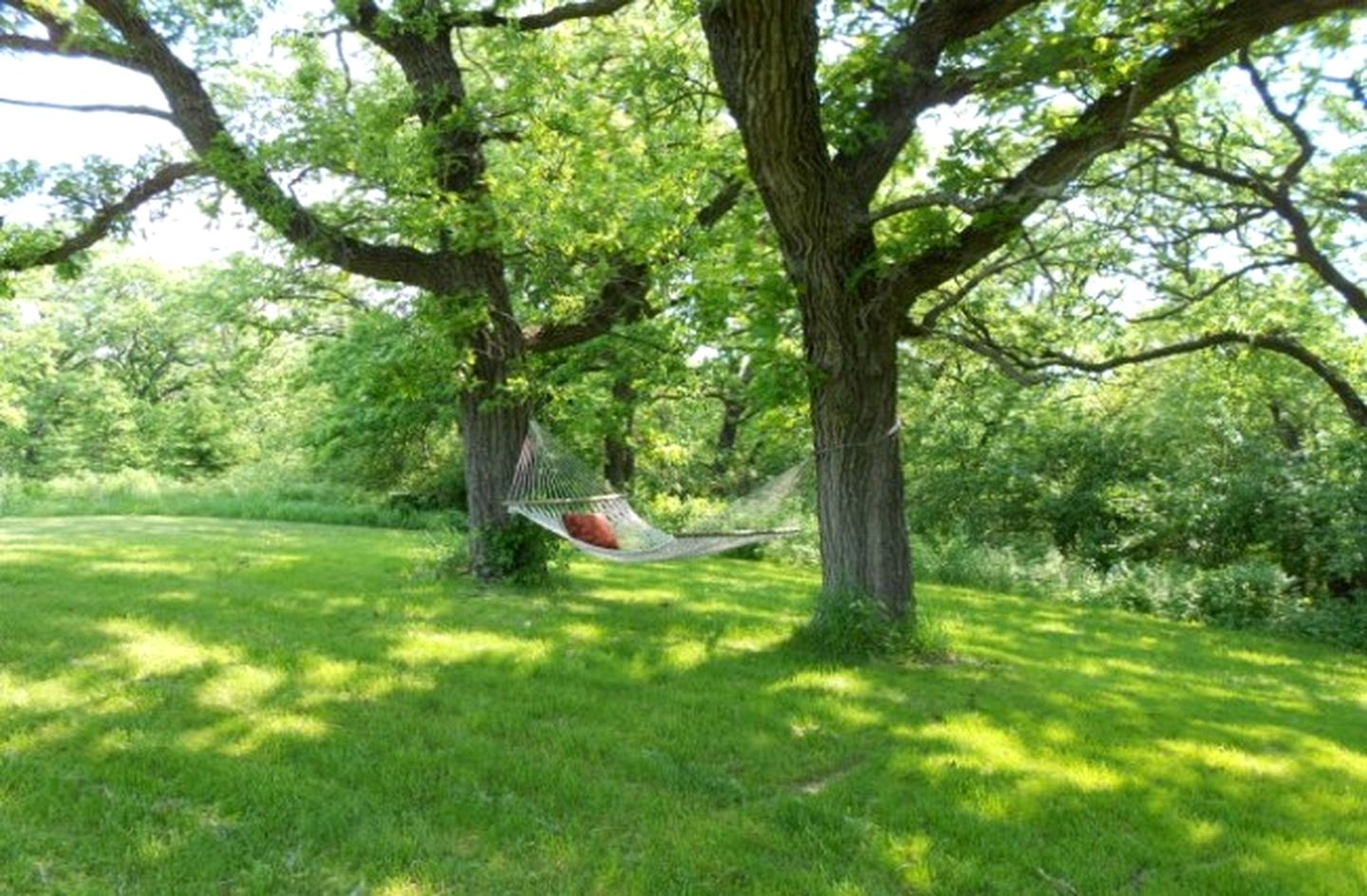Gorgeous Wooden Lodge in a Forest near Blue Mounds, Wisconsin