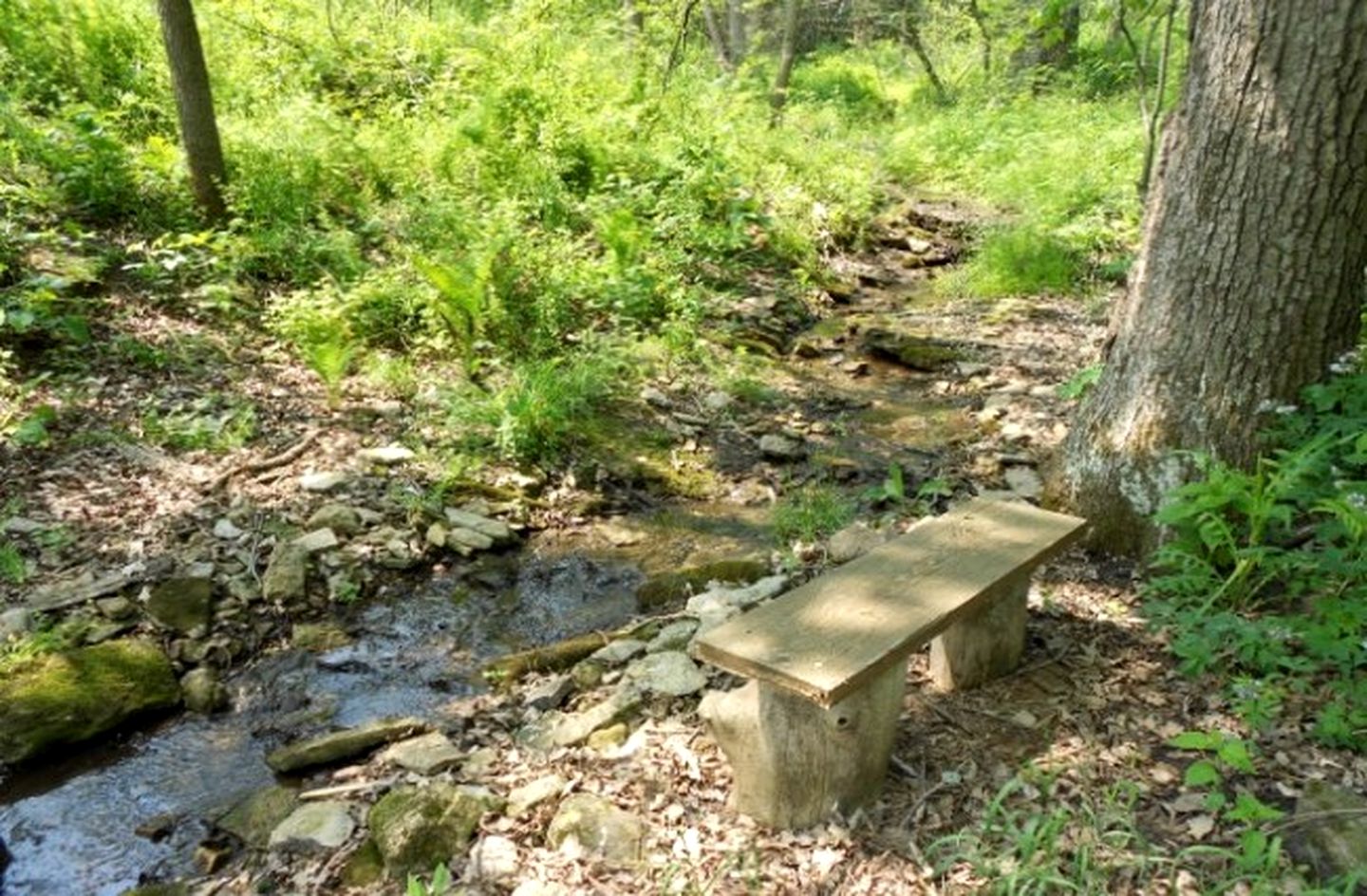 Gorgeous Wooden Lodge in a Forest near Blue Mounds, Wisconsin