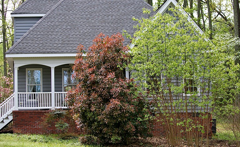 Cottages (Williamsburg, Virginia, United States)