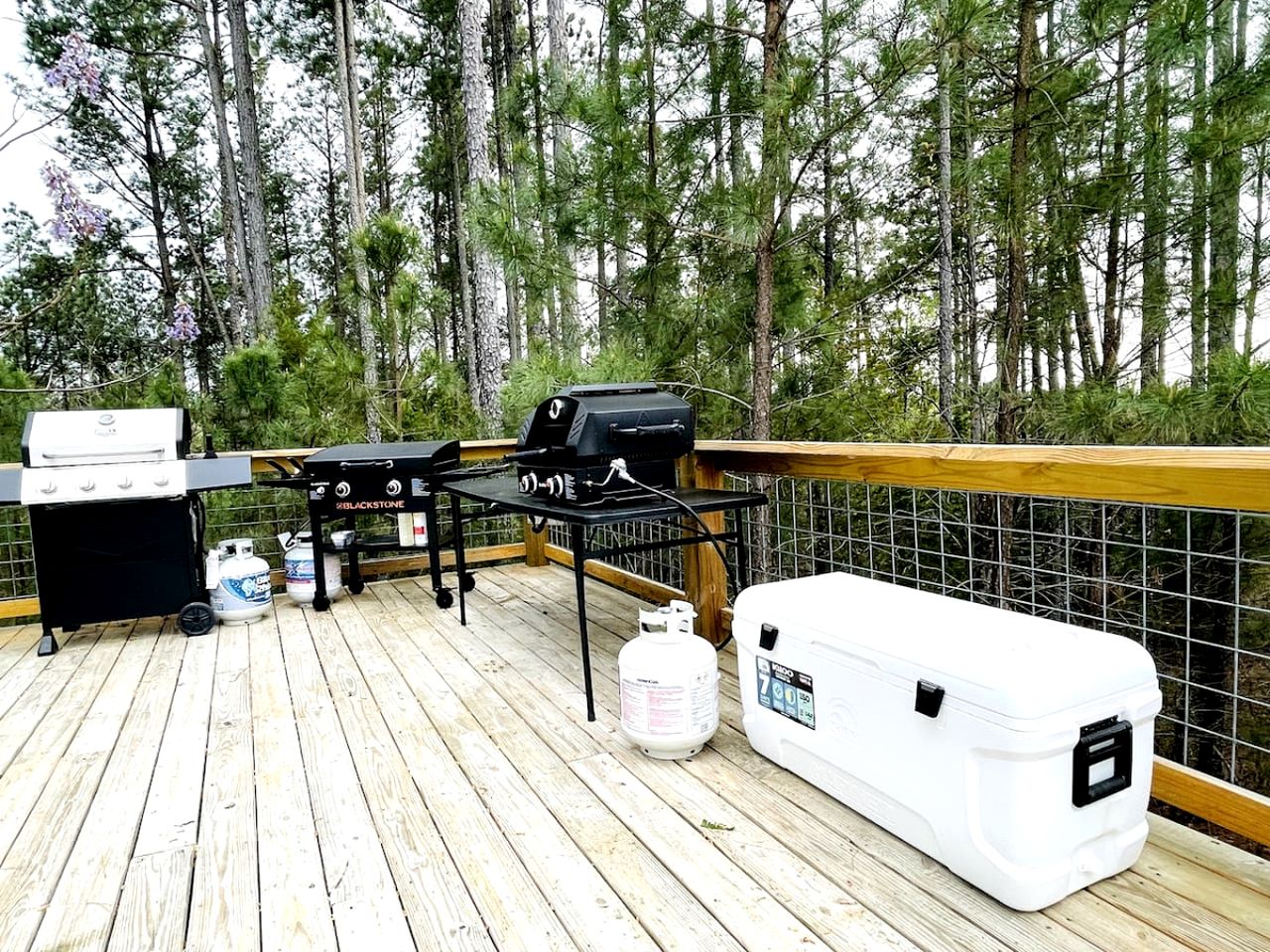 Lofted Family Dome with Equipped Deck in Kentucky