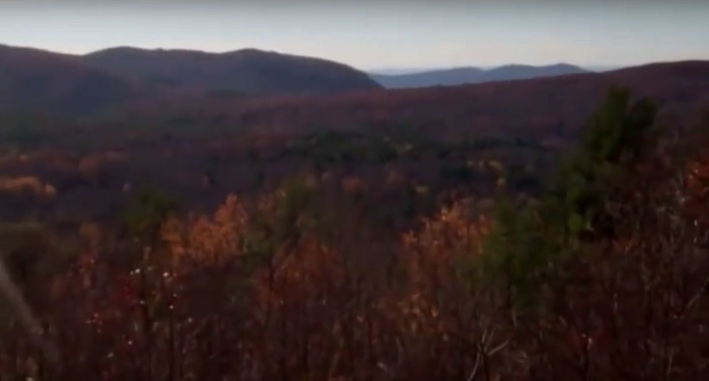 Pet-Friendly Rustic Cabin on Grafton Mountain, New York