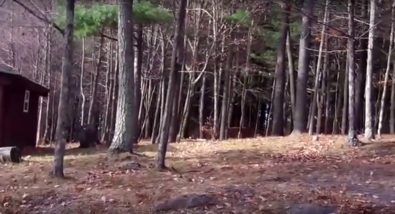 Cabins (Johnsonville, New York, United States)