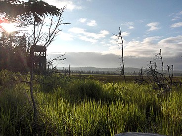 Private Eco-Cabin Rental with views of the Bay in New Brunswick, Canada photo 5