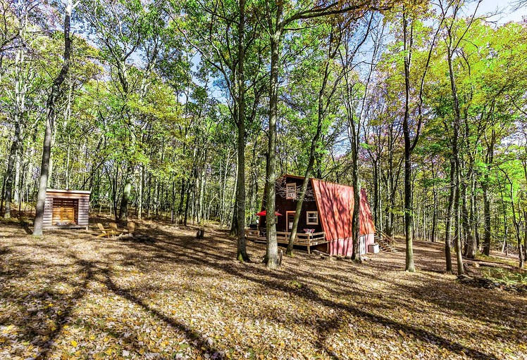 Cabins (United States of America, Terra Alta, West Virginia)