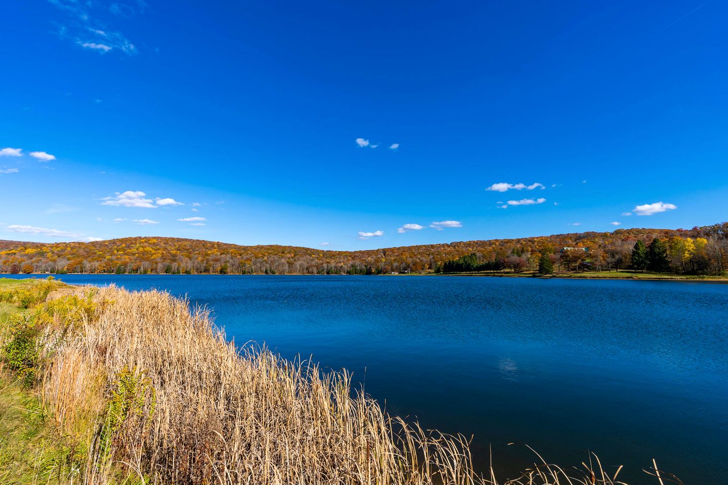 Private Lake/Beach Cabin with Fire Pit and Large Deck - Access to Golf and Community Amenities at this Terra Alta, WV Getaway