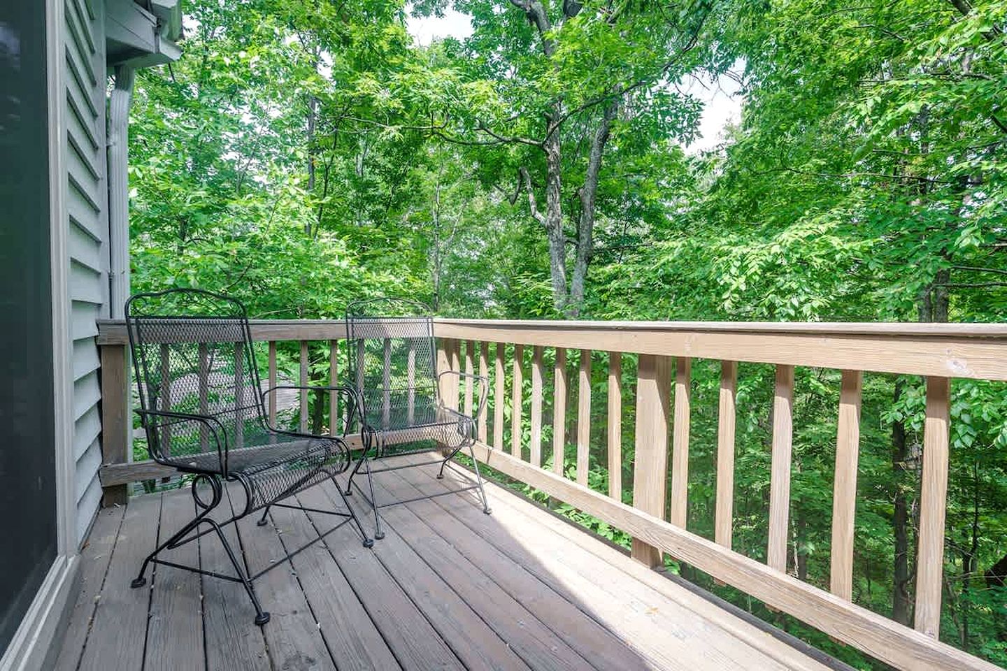 Cozy Sunny Bear Mountain Retreat with Floor-to-Ceiling Stone Fireplace Near Wintergreen Resort in VA
