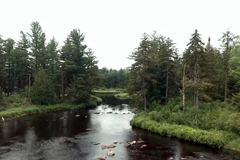 Cabins (Potsdam, New York, United States)