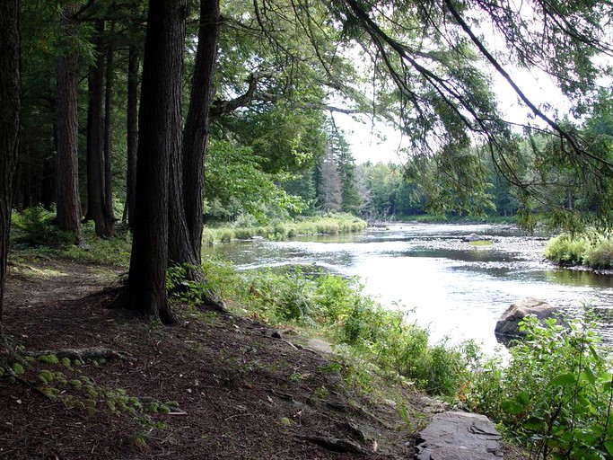 Cabins (Potsdam, New York, United States)